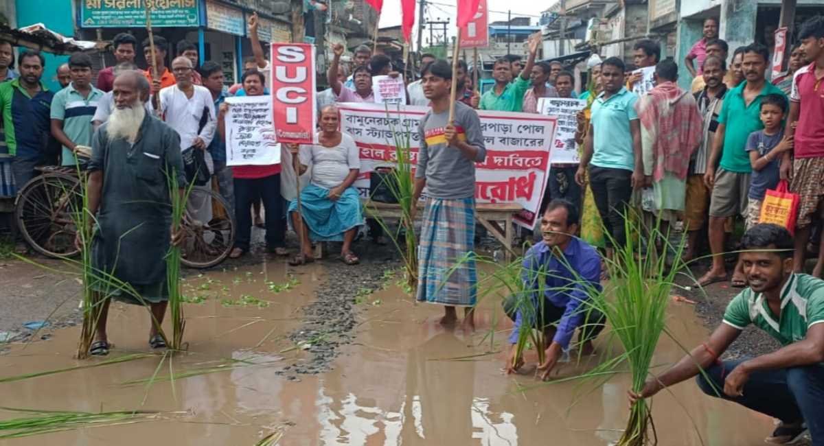 Trees were planted road protest against bad roads Mathurapur Bamunerchak