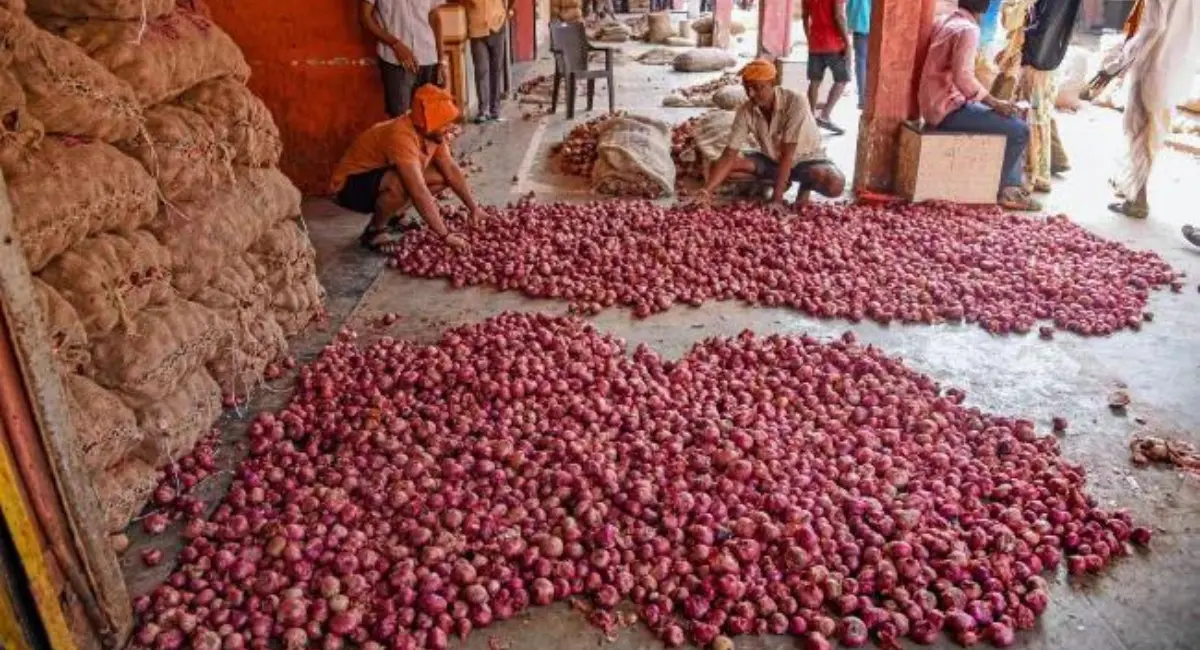 onion price in kolkata
