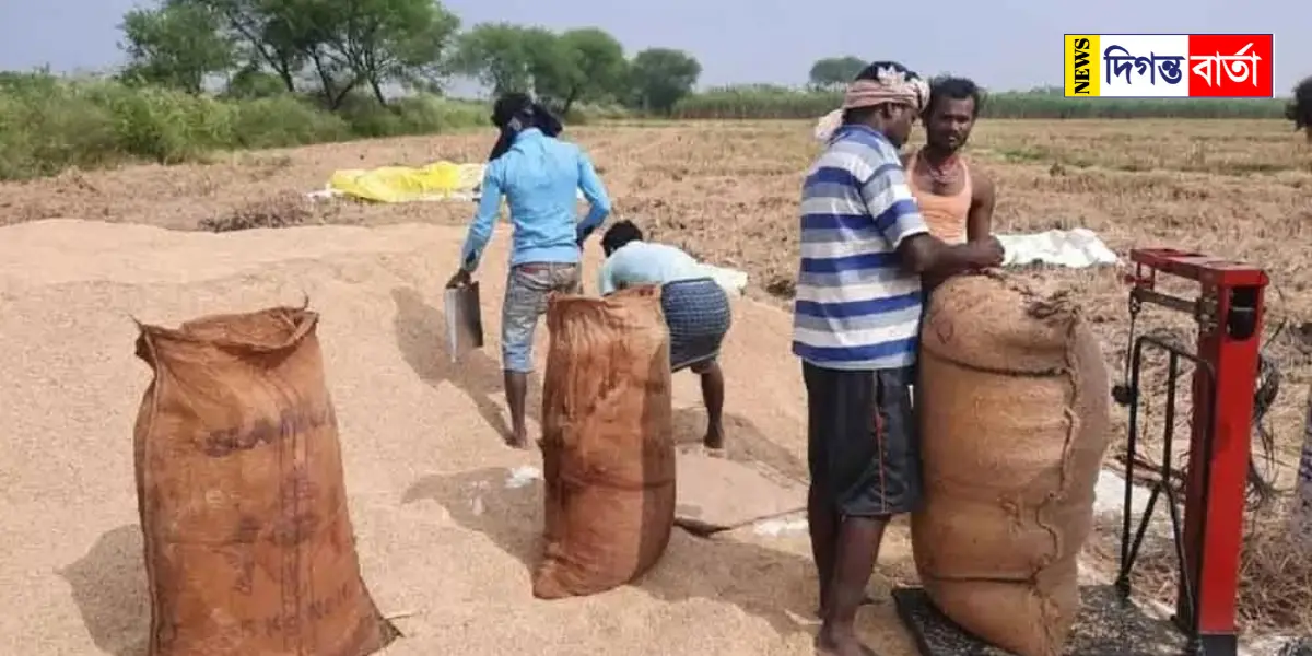 West Bengal buys paddy from Saker farmers