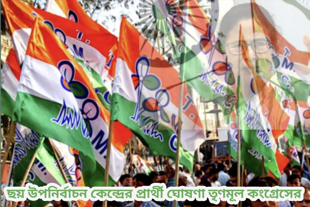 রাজ্যের বিধানসভা উপনির্বাচনের ময়দানে নেমে পড়ল শাসক শিবির।