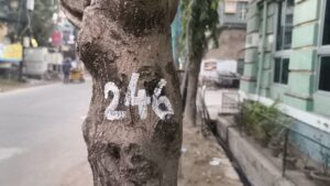 মানুষের নয়, এবার নথিভুক্ত হচ্ছে গাছের পরিচয় পত্র।