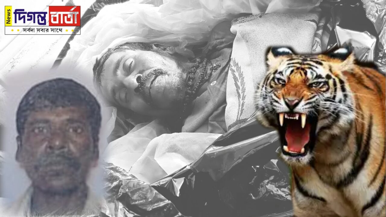 ফের বাঘের আক্রমণ সুন্দরবনে মৎস্যজীবীদের ওপর।