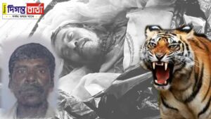 ফের বাঘের আক্রমণ সুন্দরবনে মৎস্যজীবীদের ওপর।