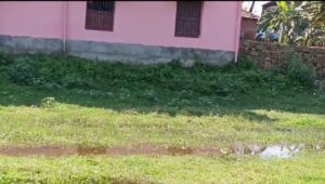 মাঠের রাস্তা বিপজ্জনক দুর্ভোগে স্কুল পড়ুয়া ও সাধারণ&hellip;