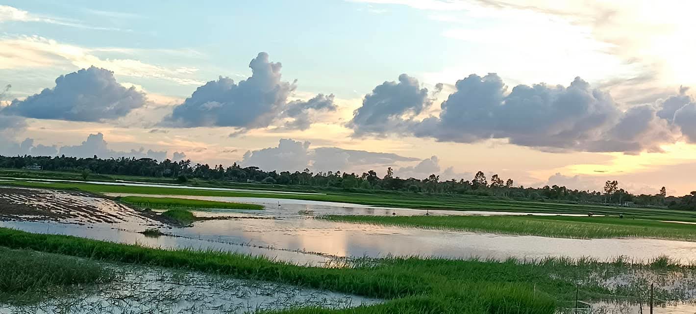 এবার বৃষ্টি দক্ষিণবঙ্গ থেকে এগিয়ে চলেছে উত্তরবঙ্গের দিকে।