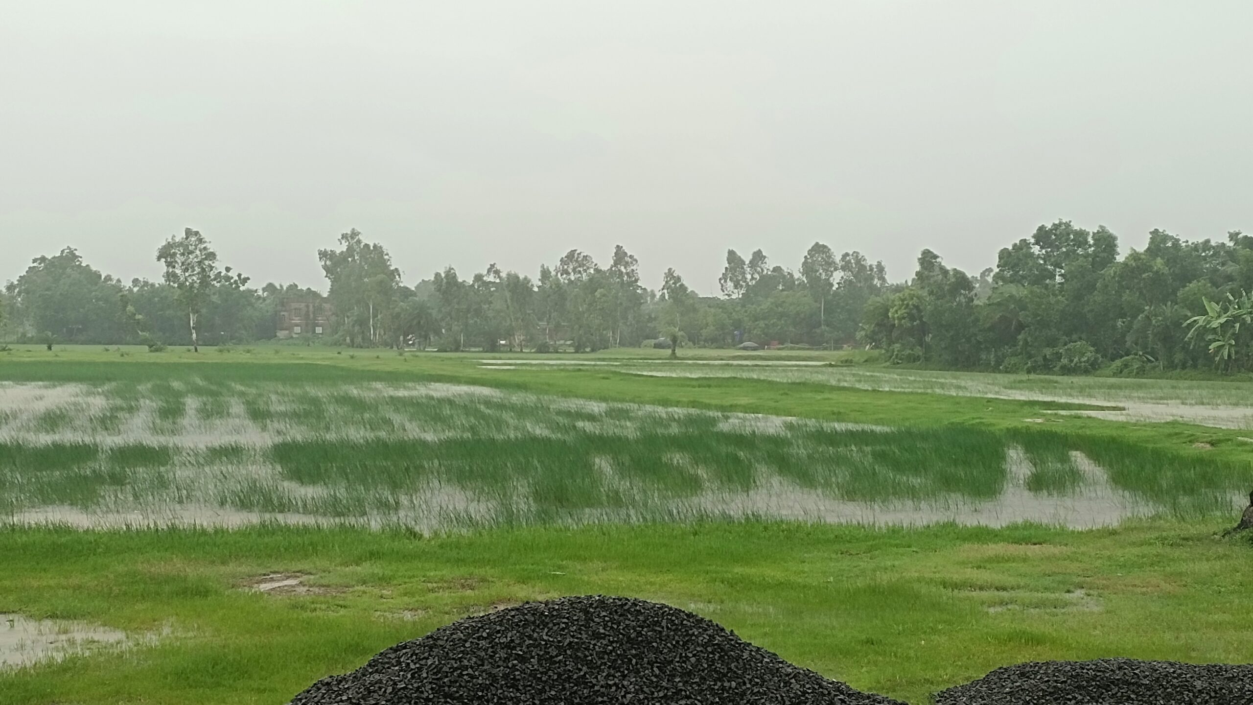 Weather আবহাওয়া সংবাদ।
