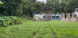 Durga Puja পূর্ব বর্ধমানের বিধানপল্লী গ্রামে কোনোদিন হয়&hellip;