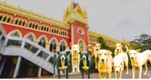 পথকুকুর নিয়ন্ত্রনে রাজ্য প্রয়োজনীয় ব্যবস্থা নেয় নি :&hellip;