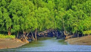 Sundarban বাঘ, হরিণ, কুমির, জঙ্গল আর নদী নিয়ে&hellip;