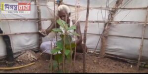 Plant tree শুভেন্দু বাবুর নামে আমি ১০০ চারা&hellip;