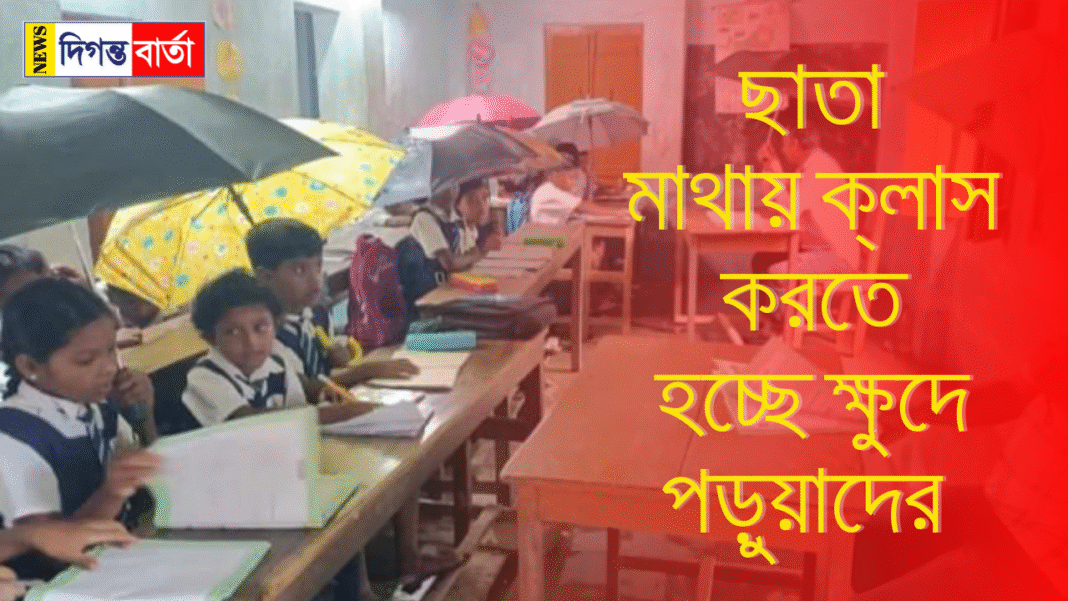 Young students have to study under umbrellas