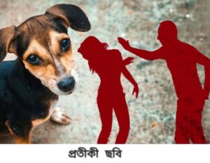 Stray dog পথকুকুরকে খাওয়ানোর অপরাধে মহিলাকে বেদম মার&hellip;