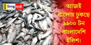 1200 tons of Bangladeshi hilsa are entering Bengal today